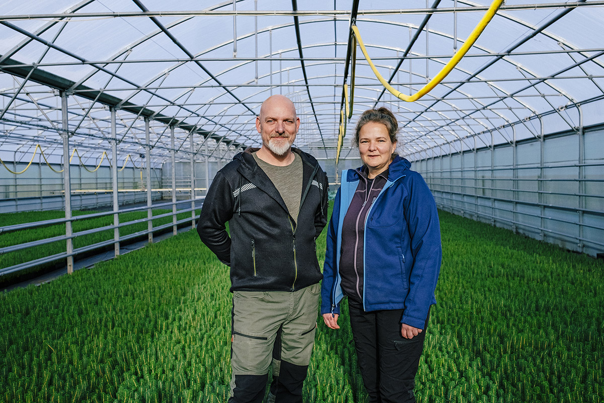 Different types of companies - mynd