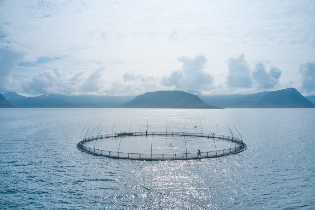 Mynd: Arnarlax.is - mynd