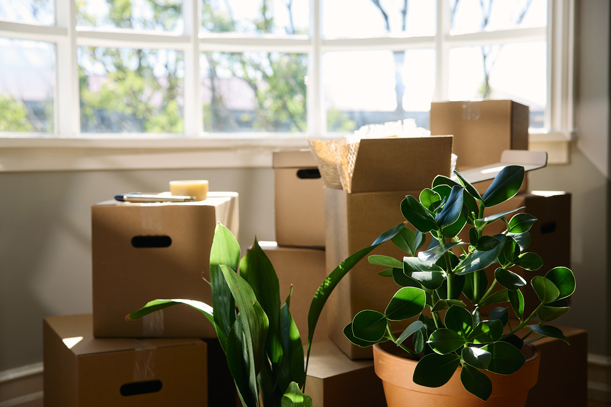 Ævintýrið að byrja að búa - mynd