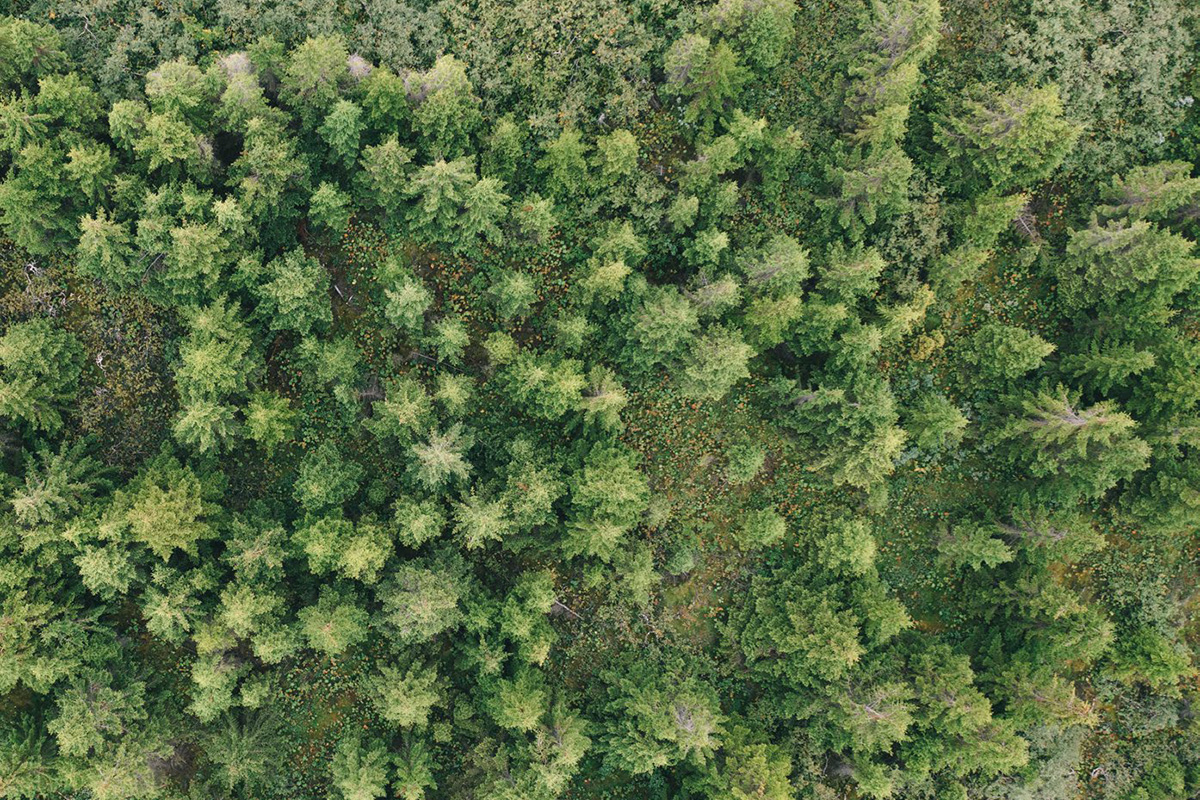 Mat á árangri í eignastýringu lífeyrissjóðs - mynd