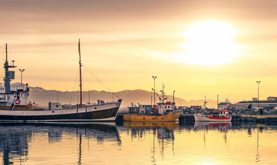 Greiningardeild Arion banka birtir þrjár athyglisverðar greiningar á sjávarútveginum - mynd