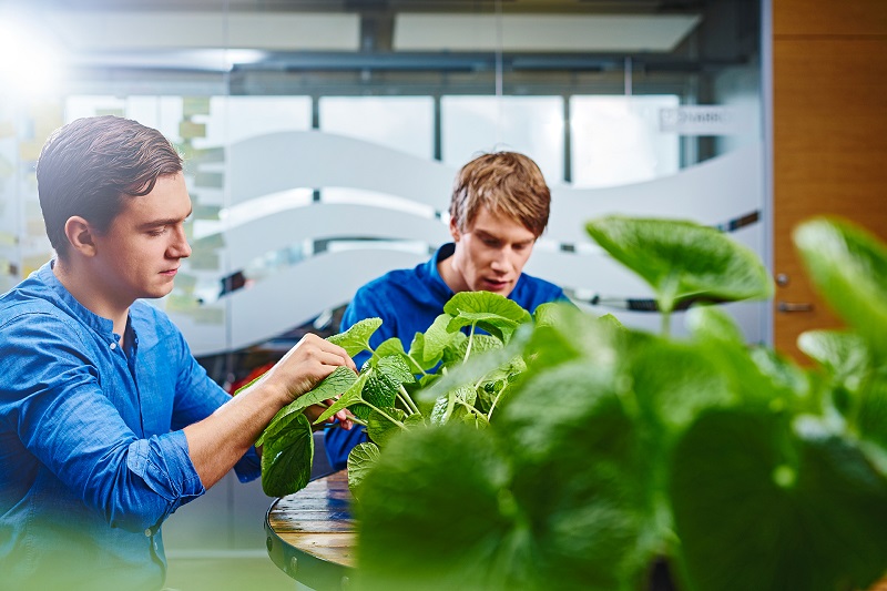 Jurt Hydroponics tók þátt í Startup Reykjavik 2015 - mynd