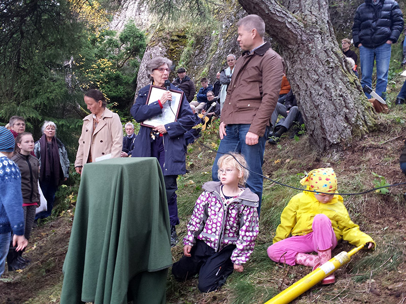 Lerkið í Lundinum - Tré ársins 2014 - mynd