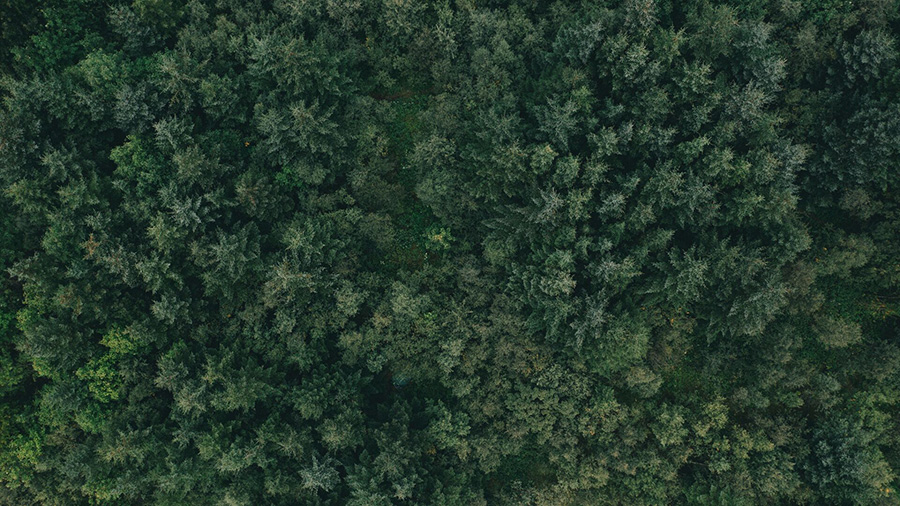 Kynningarfundur um kolefnisjöfnun í höfuðstöðum Arion banka - mynd