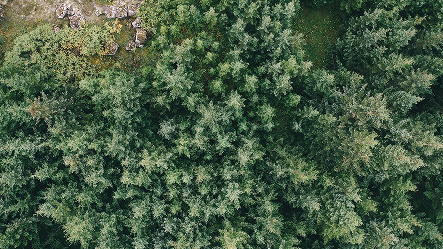 Engin þóknun vegna hlutabréfaviðskipta í nóvember - mynd
